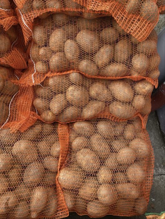 Ceapa , Cartof alb -rosu , morcovi , varza