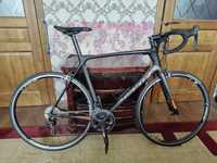 Giant TCR advanced 1