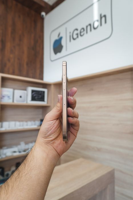 16 Pro Max 256Gb 100% 2Sim Ideal