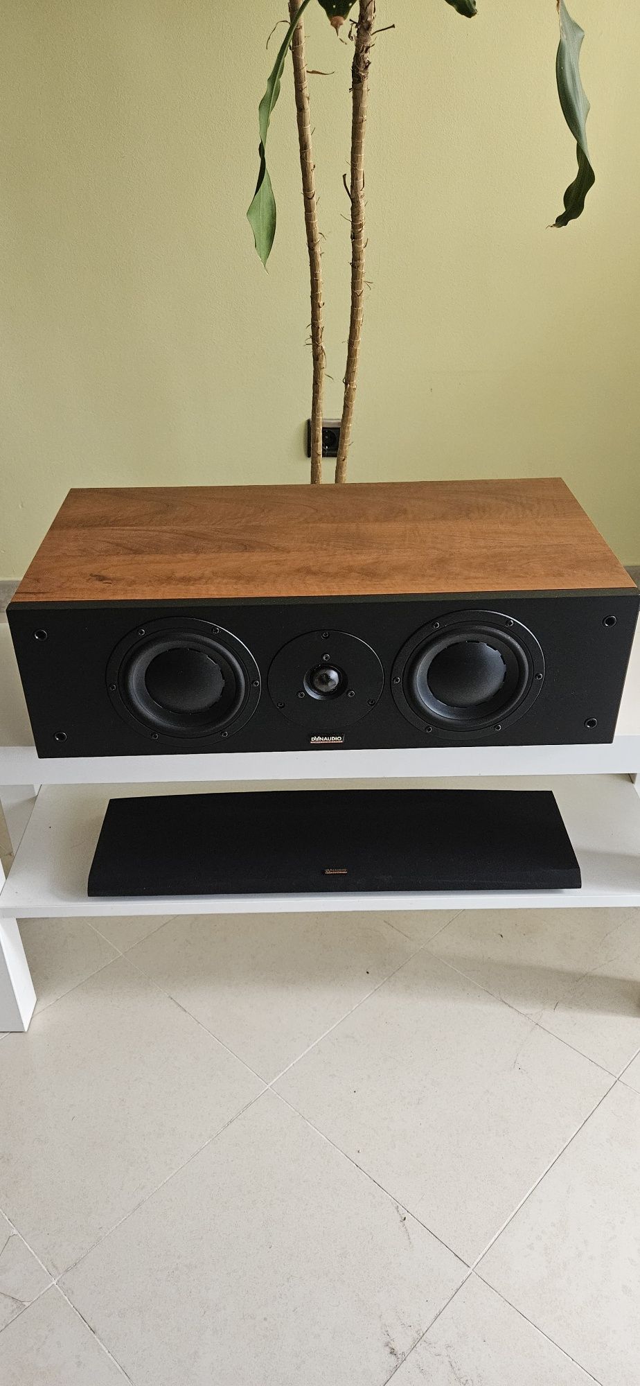 Dynaudio Audience 122C