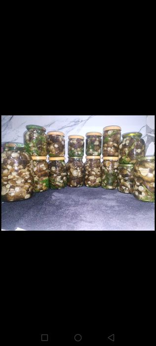 Домашние заготовки