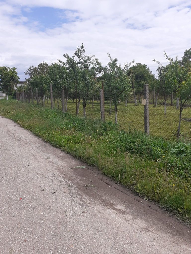 Teren intravilan Pricaz