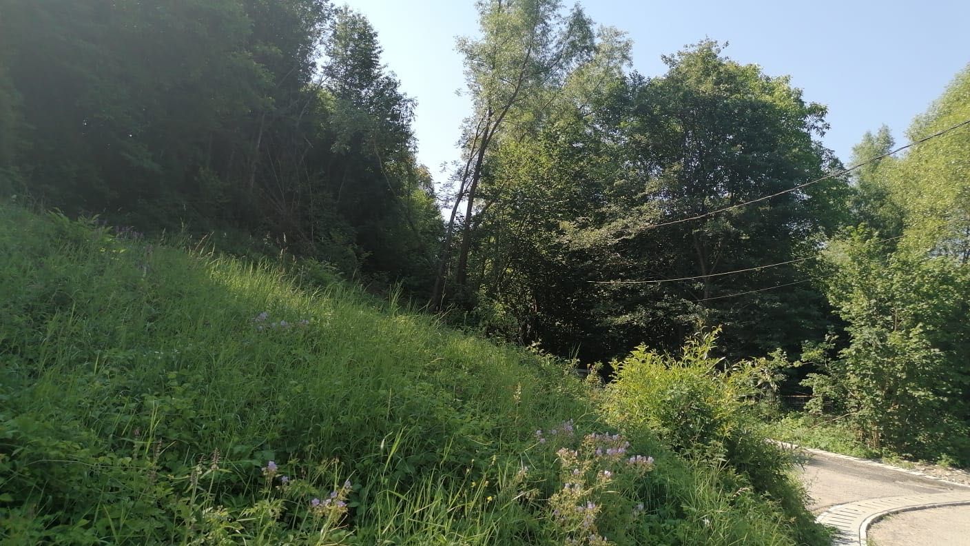 Intravilan Breaza, 2.380 m² - utilități, drum asfaltat, vedere superbă