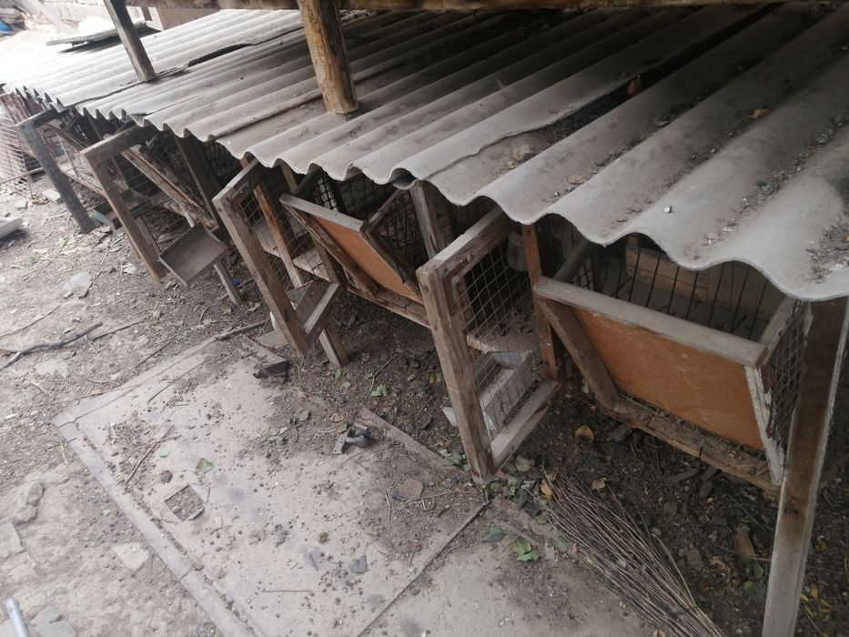 Продаю крольчатники