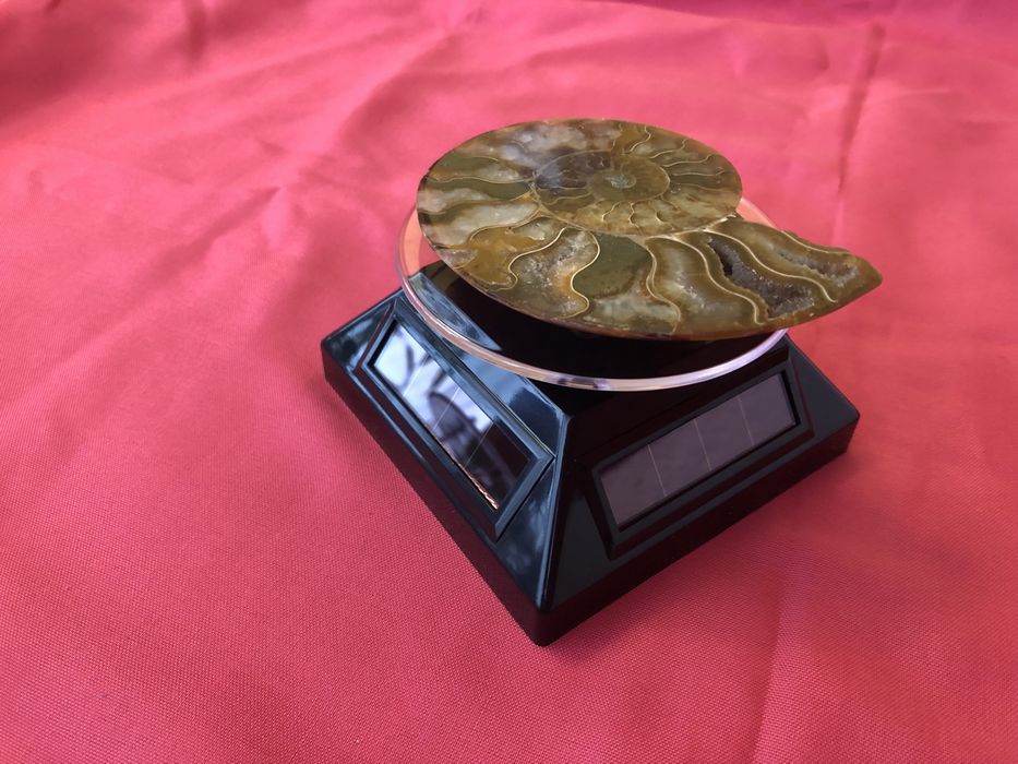 Suport rotativ ceasuri . Stand rotativ ceas . Supurt rotativ bijuterii