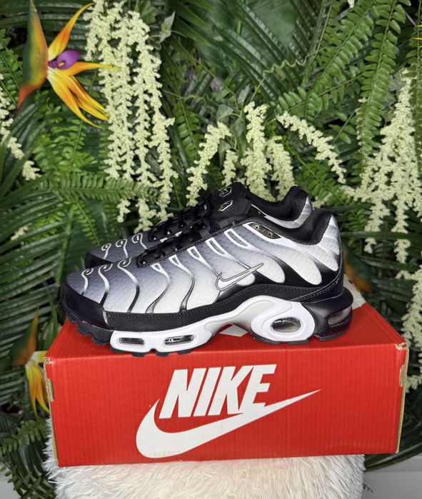 Nike Air Max Plus TN Black Silver