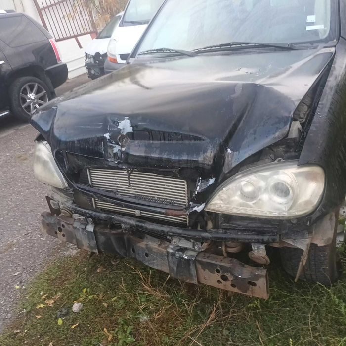 ML 270 W163 Na 4asti