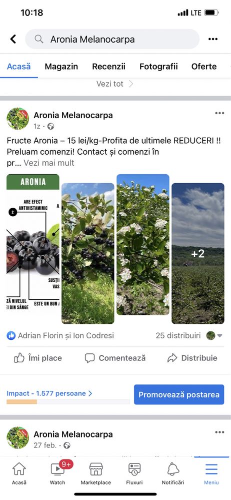 Fructe Aronia Melanocarpa bio