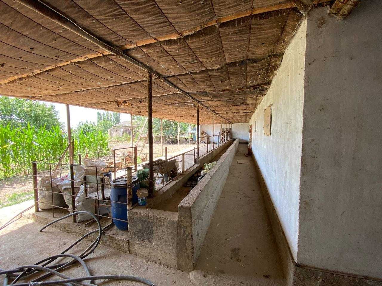 Sayxunobod tumanida molxona binosi bolib tolash sharti bilan sotiladi