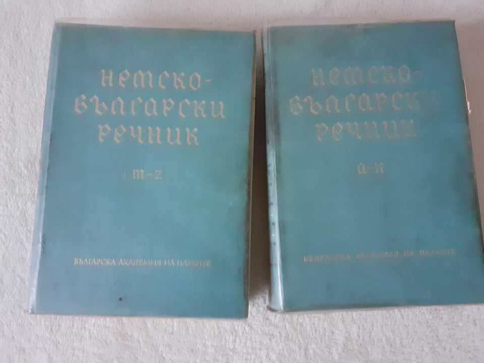 Български тълковен речник и други речници