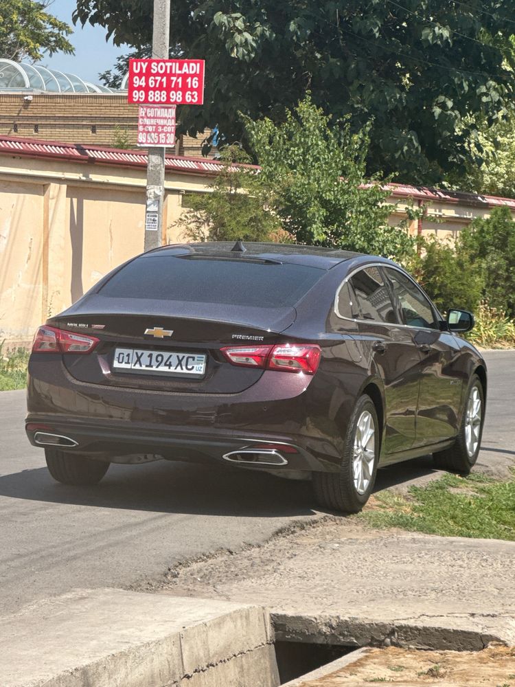 Malibu 2022 LUX-