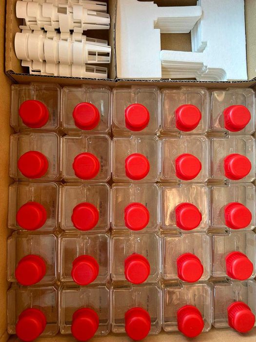 Odorizant Parfum CWS Frutto Auto / Camera - Guma Turbo 100% Original