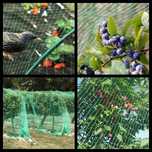 PLASA PROTECTIE = ANTI PASARI-țesută sau extrudat, verde/neagră