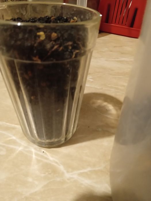 Бузина лечебная целебная смотрите  в инцеклапедии