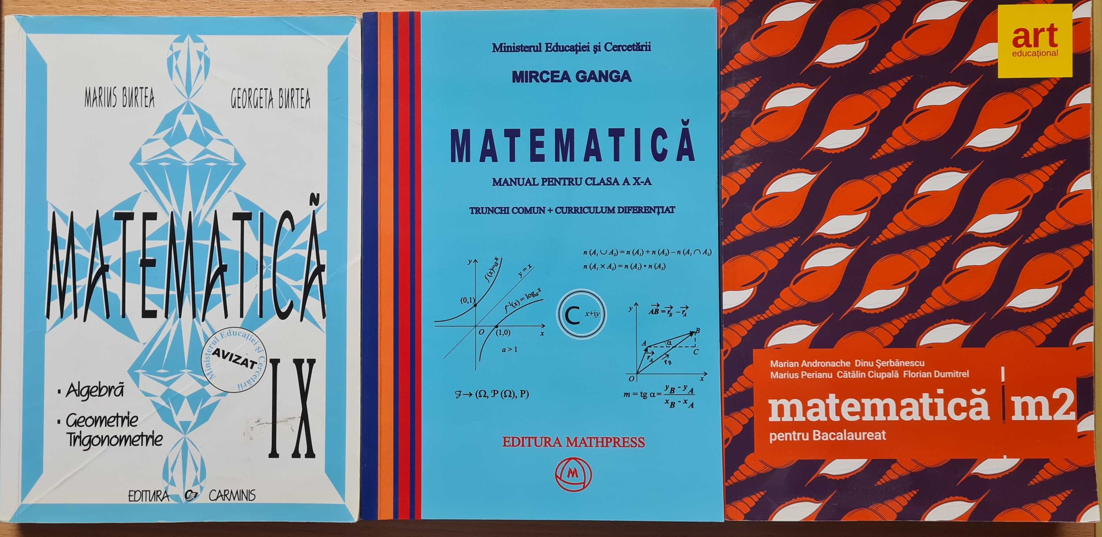 Culegeri Română+Matematică+Fizică+Istorie+Logică - învățământul liceal
