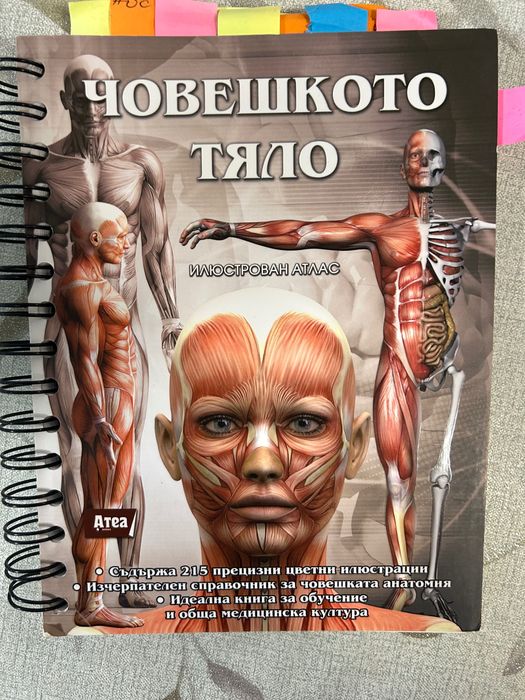 Илюстриран атлас Човешкото тяло