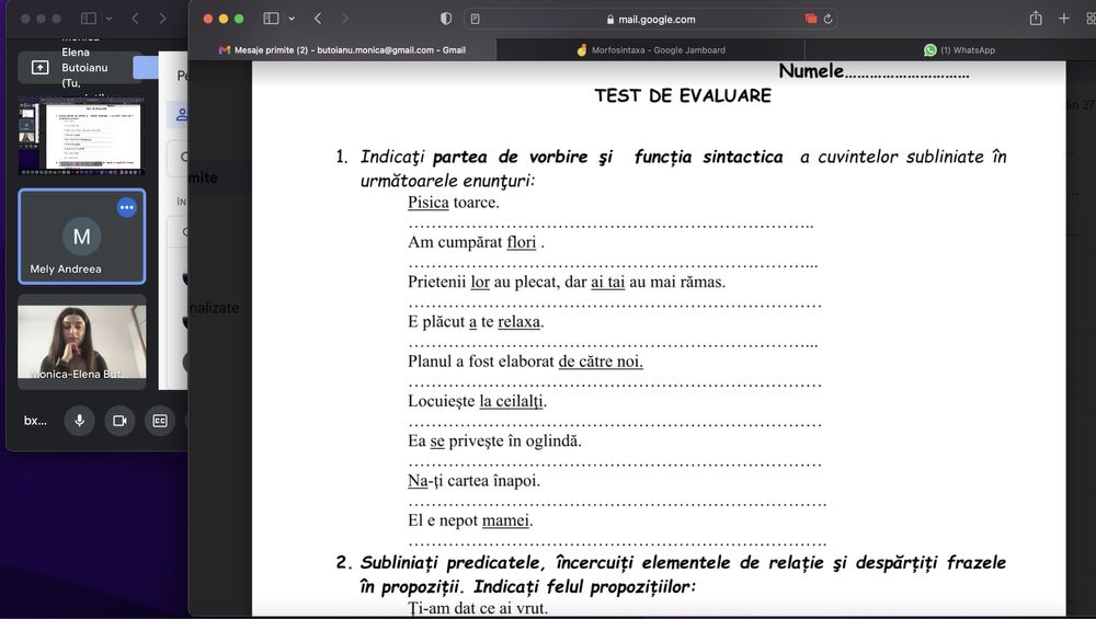 Pregătire/ajutor Limba și literatura română