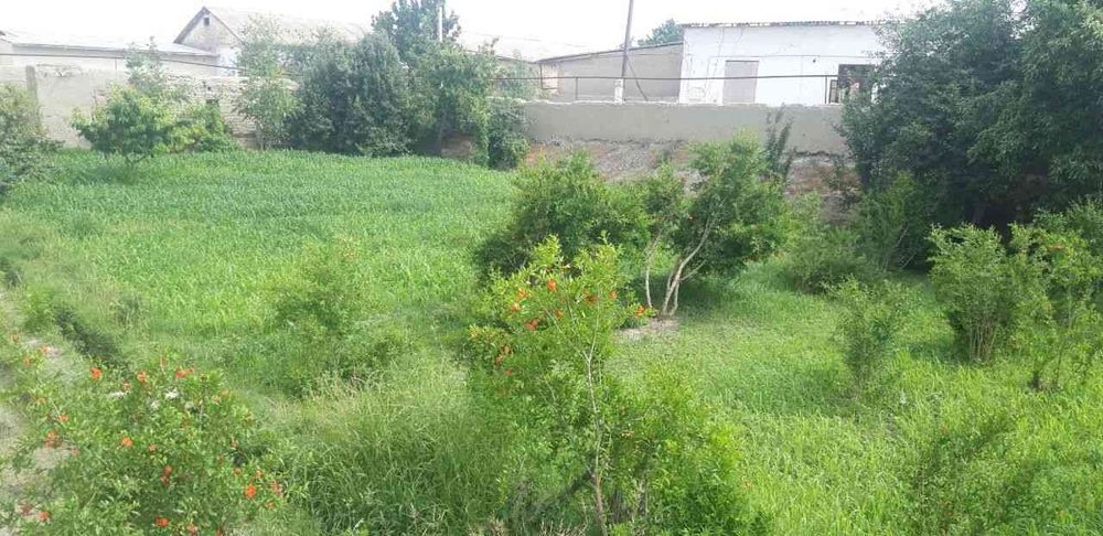 Navoiy viloyatida Yer sotiladi