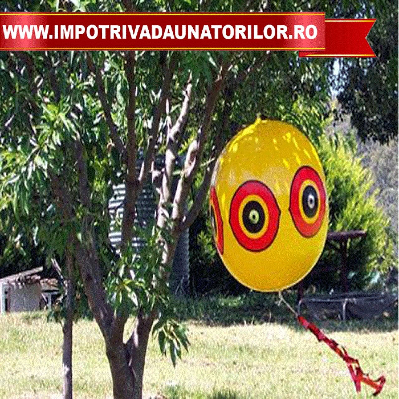 Sperietoare pasari tip balon 40 cm, anti grauri,anti ciori,anti