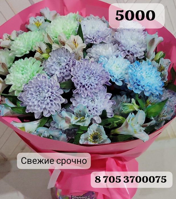 Срочно цветы продаётся