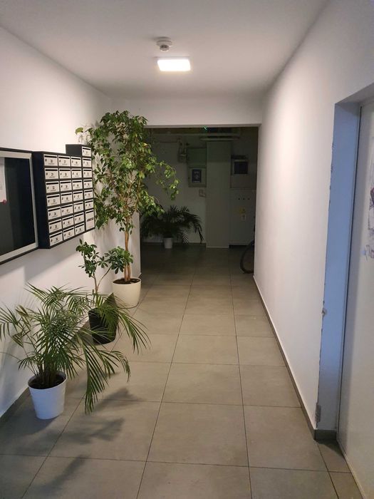 Garsoniera, Aviatiei,Propietar