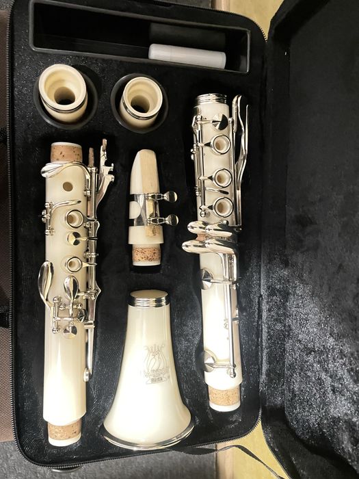 Clarinet Parrot complet – stare excelentă, 600 lei negociabil
