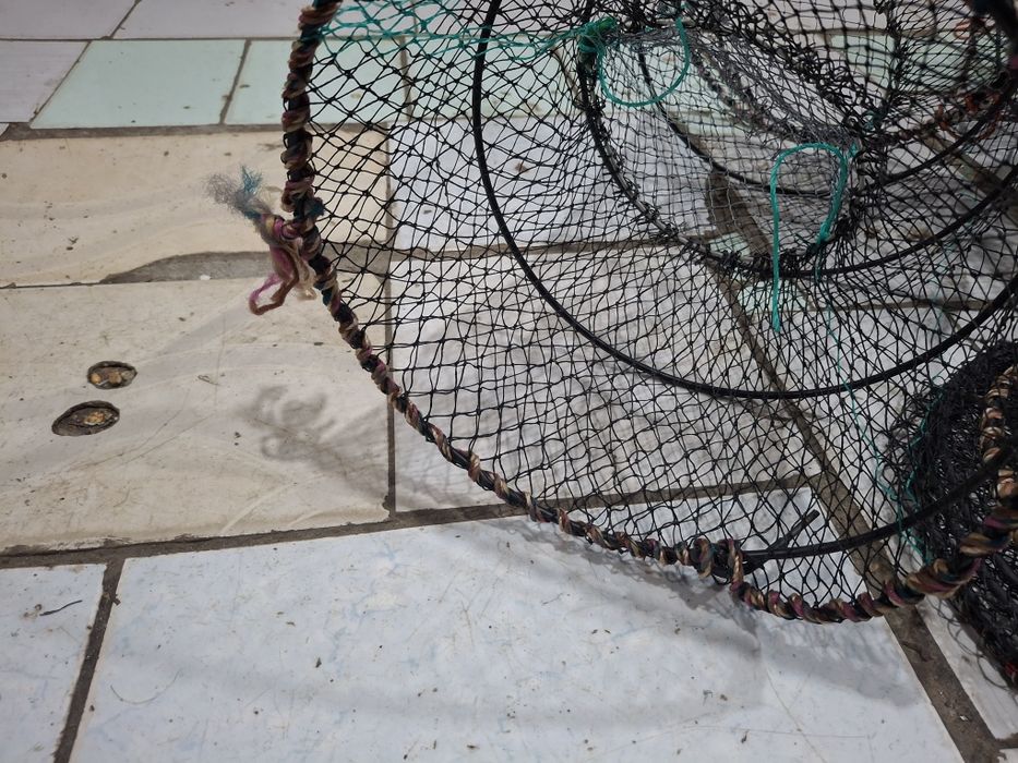 Capcana  cușcă pentru raci