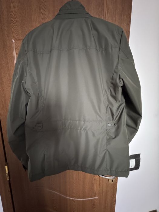 Jacheta  casmir “Falconeri”