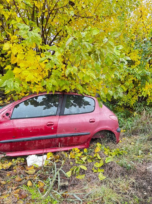 Пежо 206 на части 320 лв