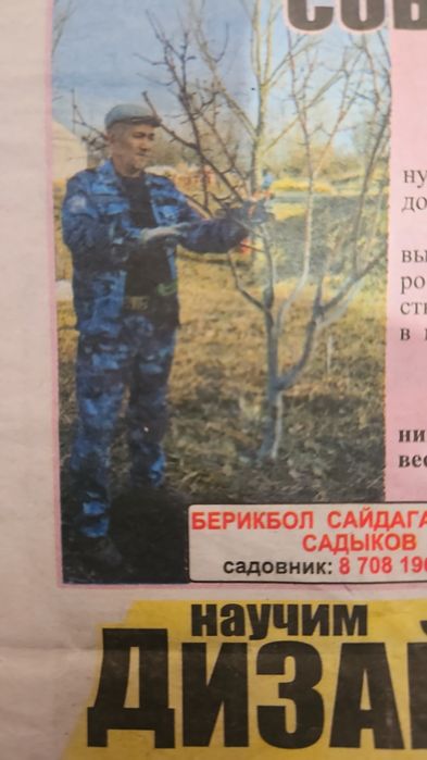 Обрезка плодовых деревьев.