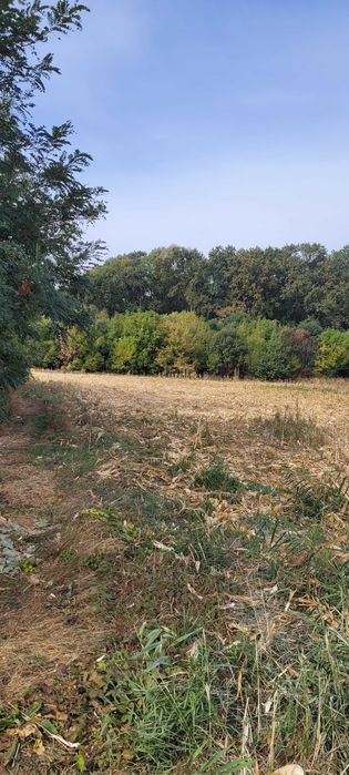 De vanzareTEREN 4000mp la padure parcelabil