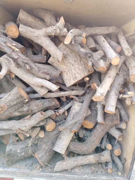 У'тин сотилади лабода