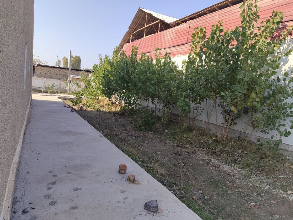 Bino sotiladi xarxil yoʻnalishda foydalansa boʻladi