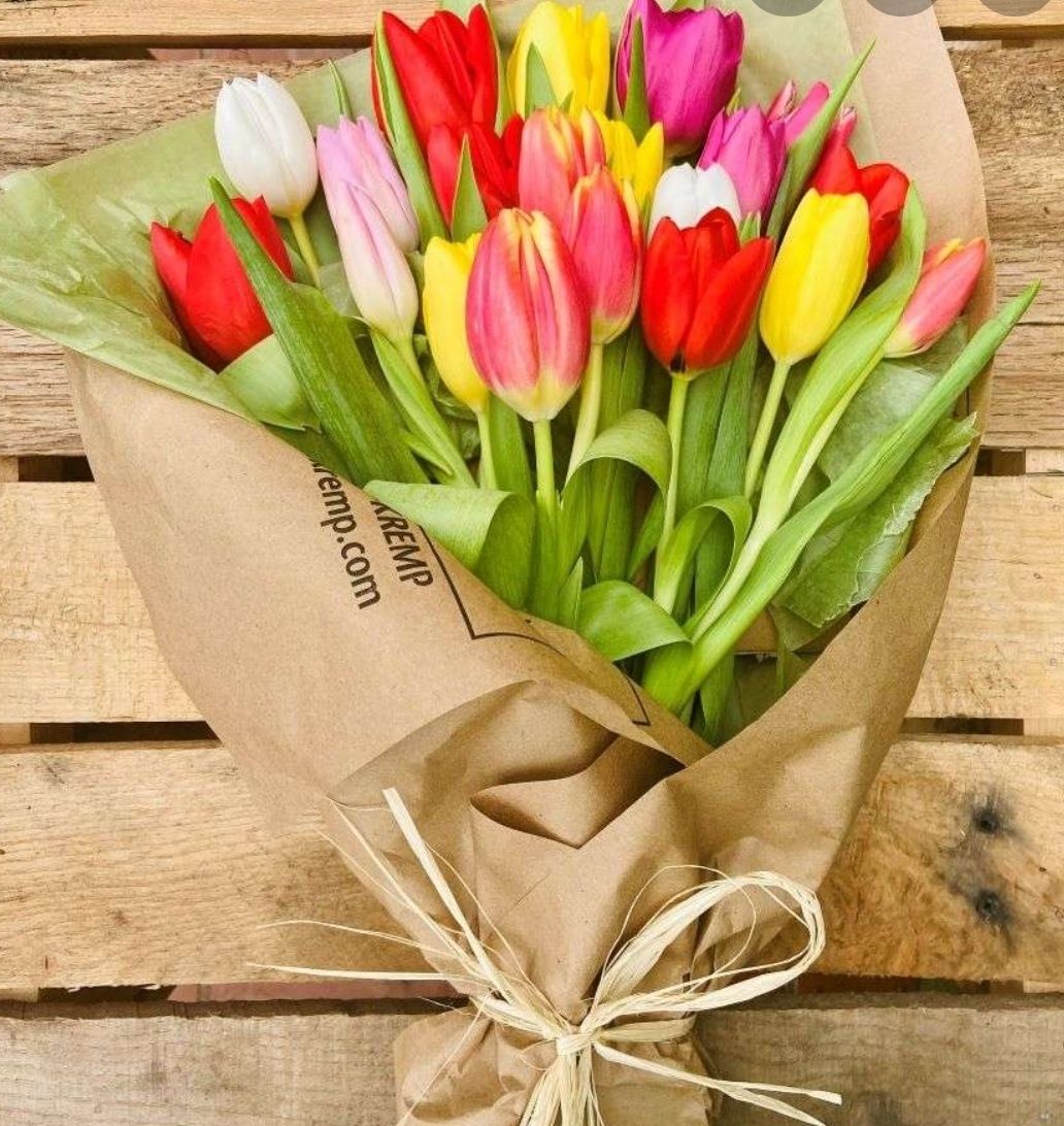 Крупные Тюльпаны букеты цветы к 8 марта для милых женщин