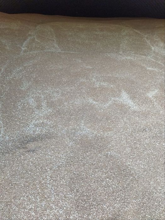 Бидай(Пшеница) 120тг