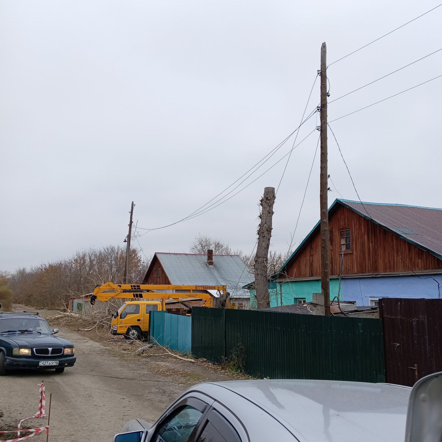 Спил деревьев, санитарная обрезка, измельчитель веток.