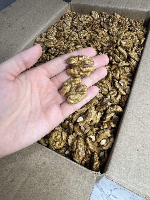 Грецкие орехи yong'oq yongoq