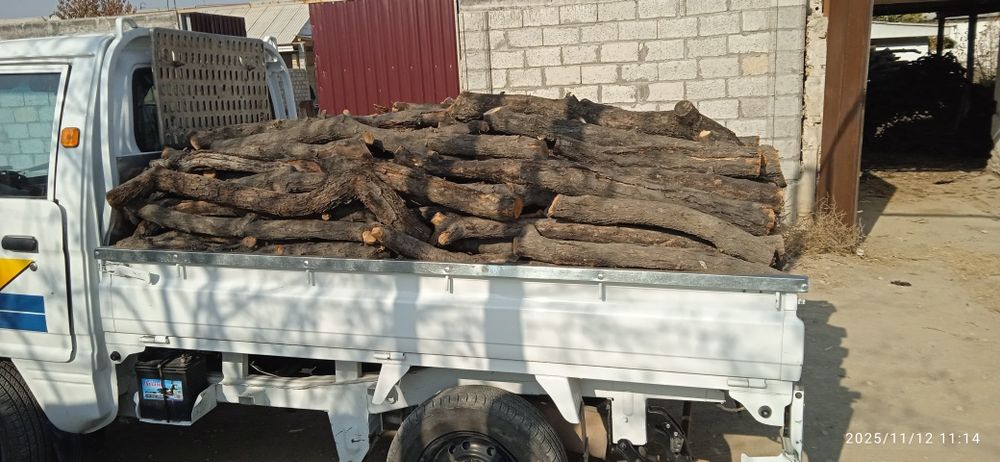 Ўрикўтин сотаман