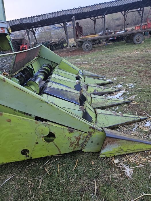 Vand masa de grau + masa de porumb