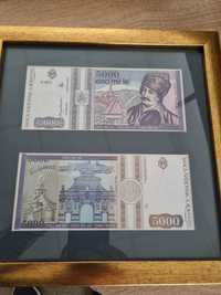 Bancnota Romania - Avram Iancu - 5000 lei.