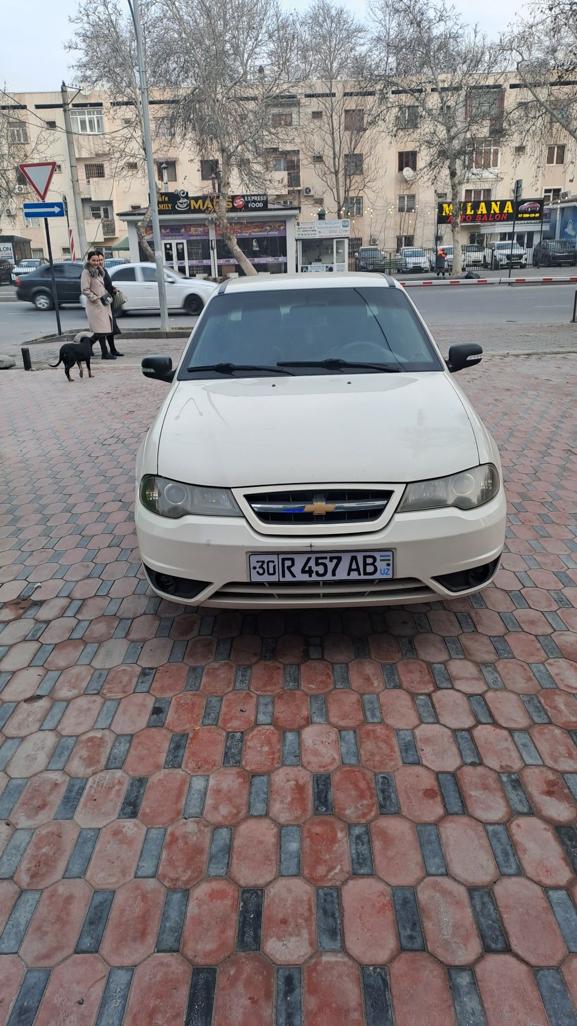 Neksiya 2 dons 2015
