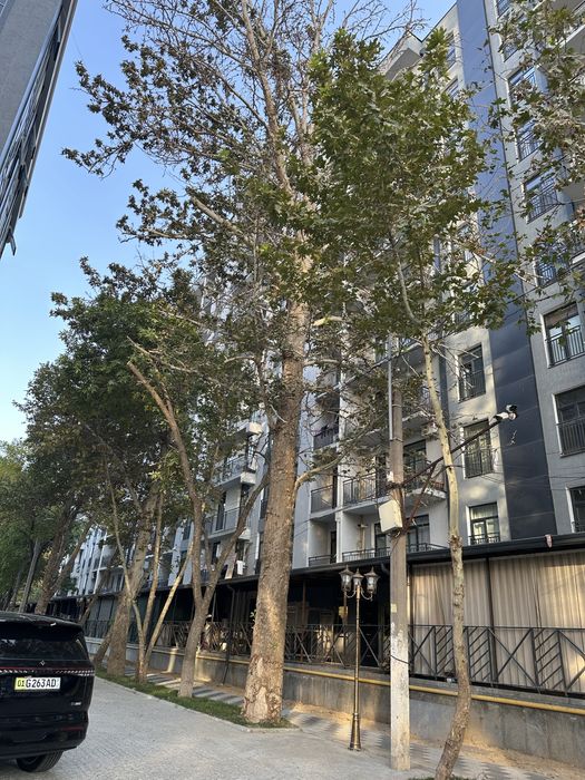 Квартира в новостройке