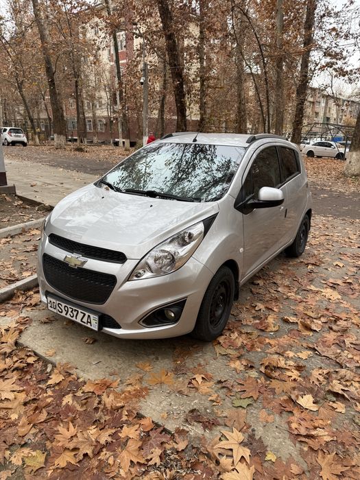 Spark MT 2013y. Kotta mator