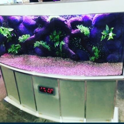 Ремонт и обслуживание аквариумов изготовления аквариум профессионалами