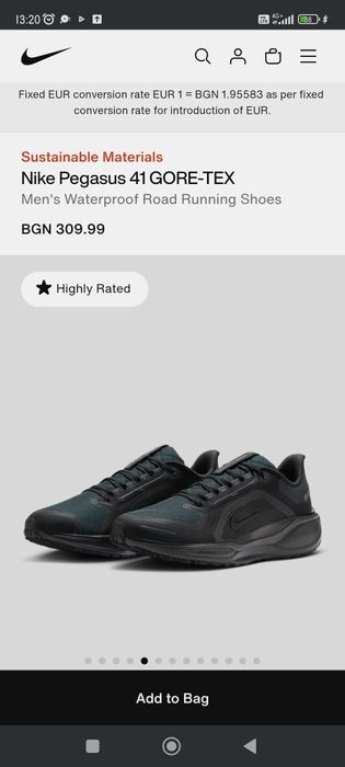 Nike Pegasus Gore-tex 40