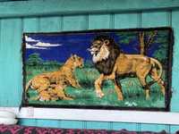 Carpeta Leul si tigroaica