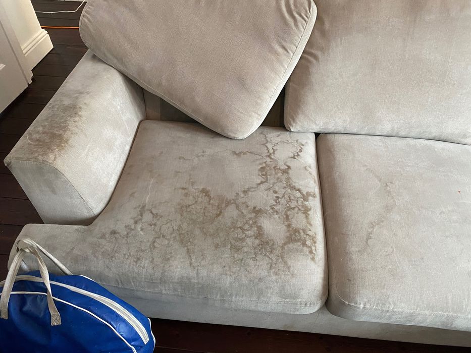 Професионално почистване на дивани, мокети, килими и авто тапицерия