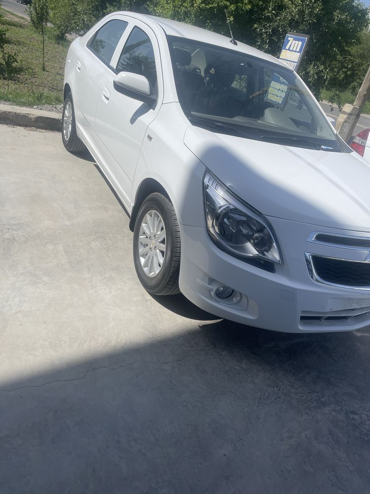 2019 aftamat radnoy