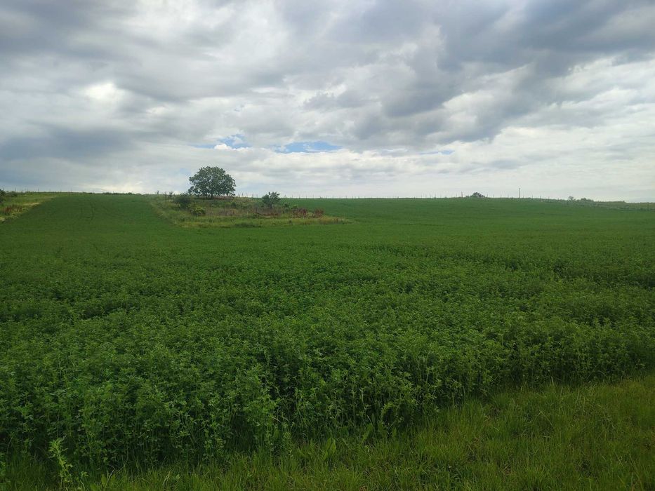 Vand  3 hectare teren extravilan cu balta in Biharia