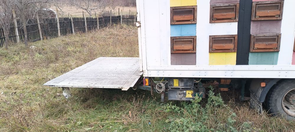 Camion Man 12 tone apicol